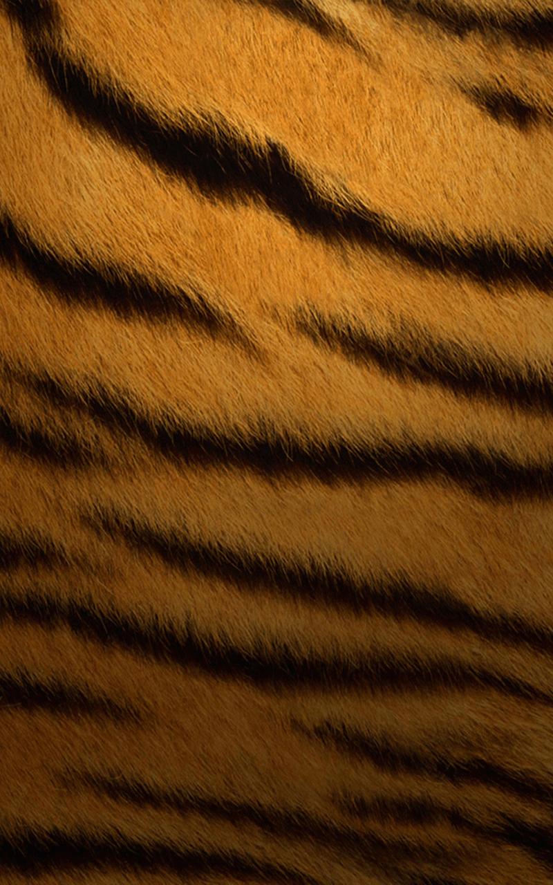 Tiger Print Wallpaper For Iphone
