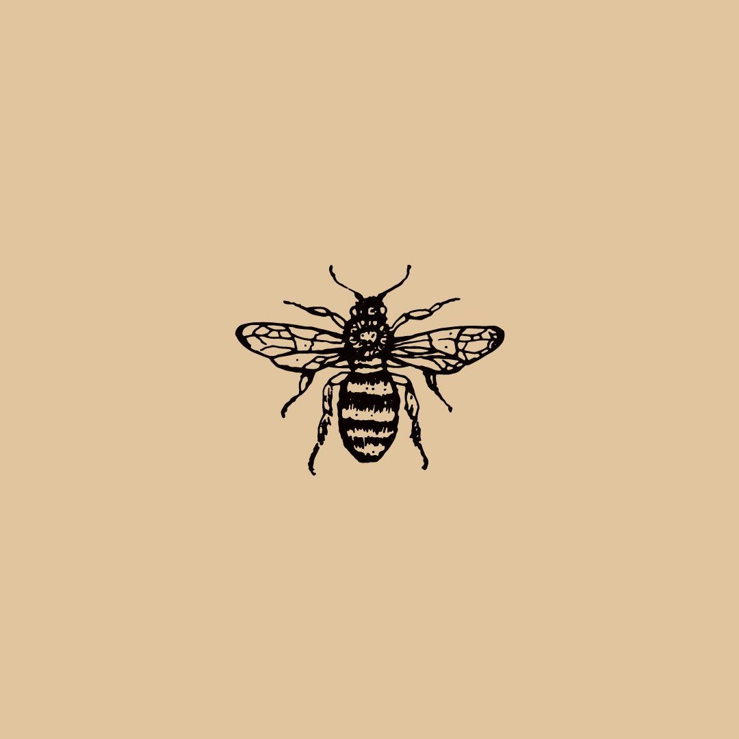 Bee Aesthetic Wallpapers Wallpaper Cave