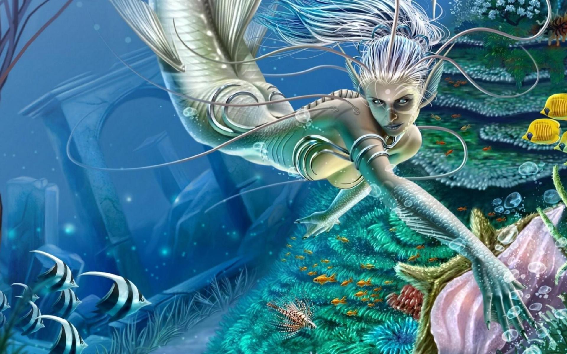 Siren Mermaid Wallpapers Wallpaper Cave