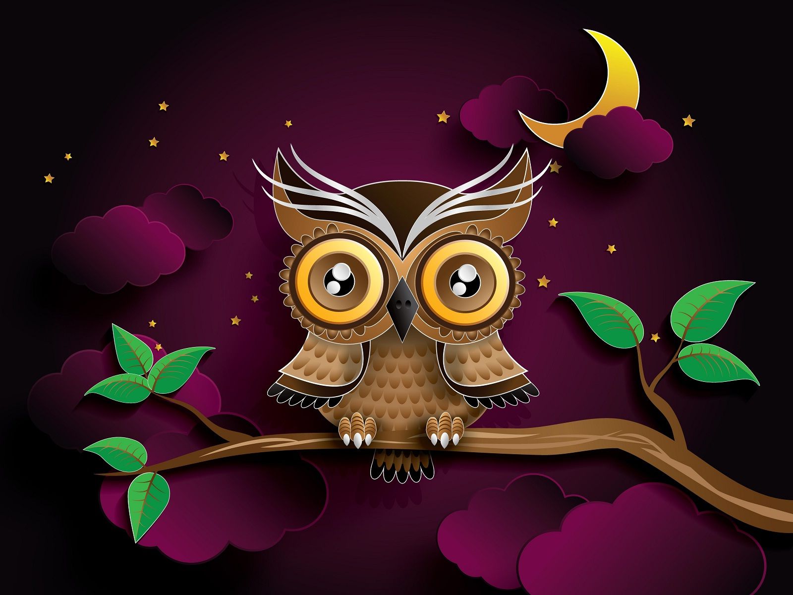 Night Owl Wallpapers Wallpaper Cave
