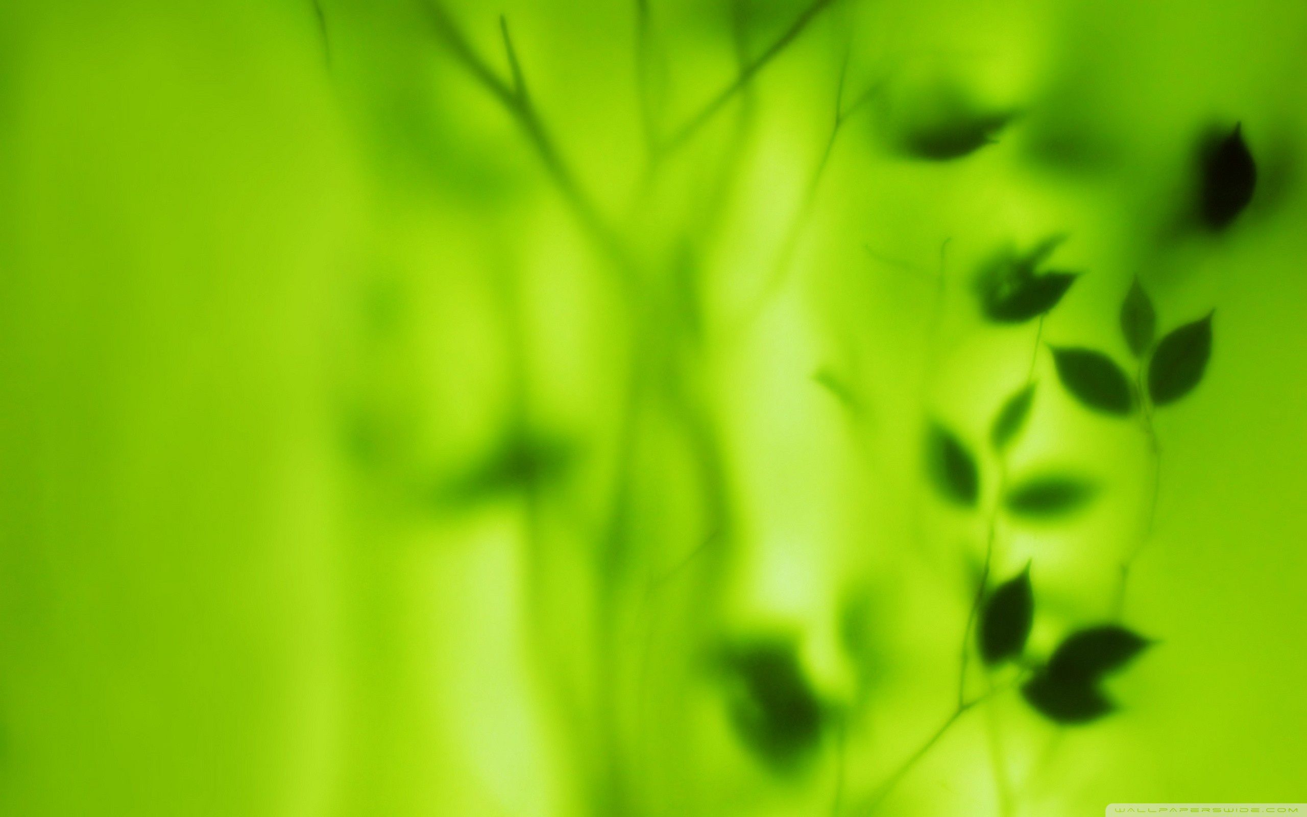 Green Blur Wallpapers Wallpaper Cave