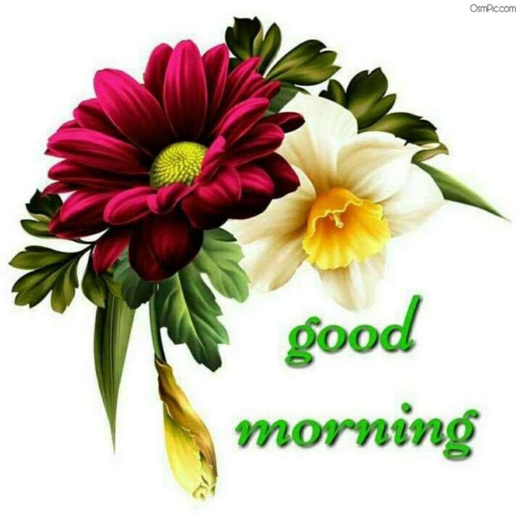 Good Morning Flowers Wallpapers Wallpaper Cave