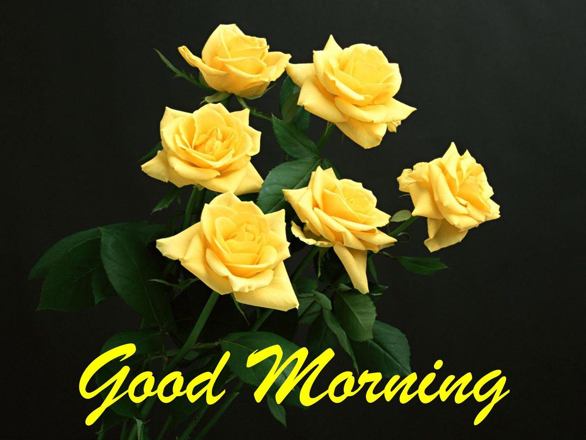 Good Morning Flowers Wallpapers Wallpaper Cave