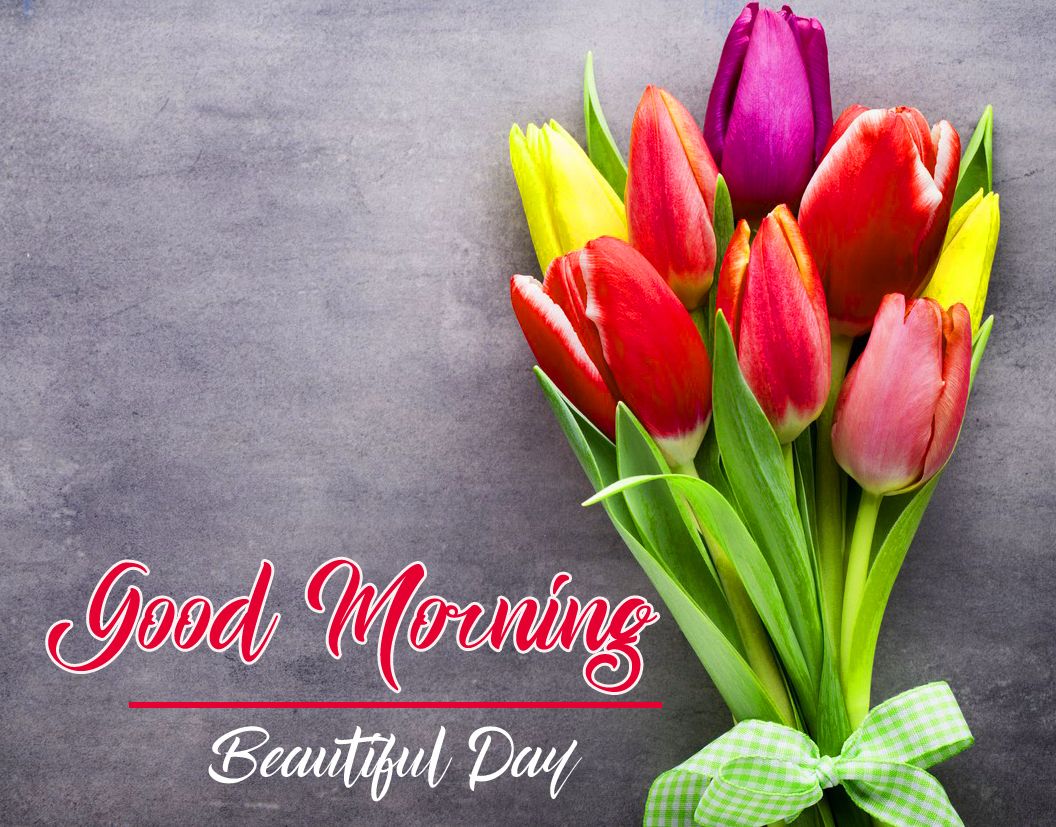 Incredible Collection of Top 999+ HD Good Morning Images with Flowers Full 4K