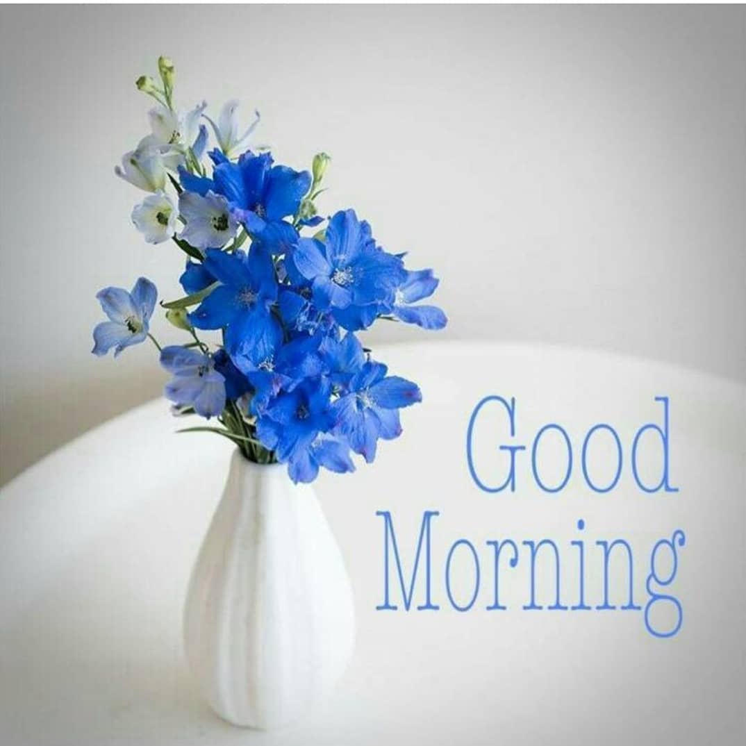 Good Morning Flowers Wallpapers Wallpaper Cave