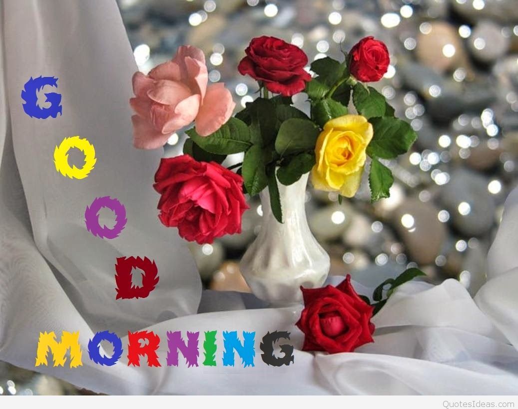 Good Morning Flowers Wallpapers Wallpaper Cave