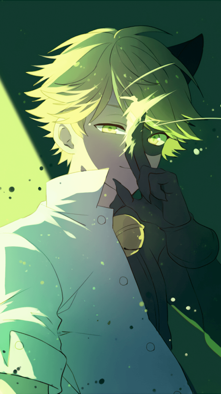 Cat Noir Anime Wallpapers Wallpaper Cave