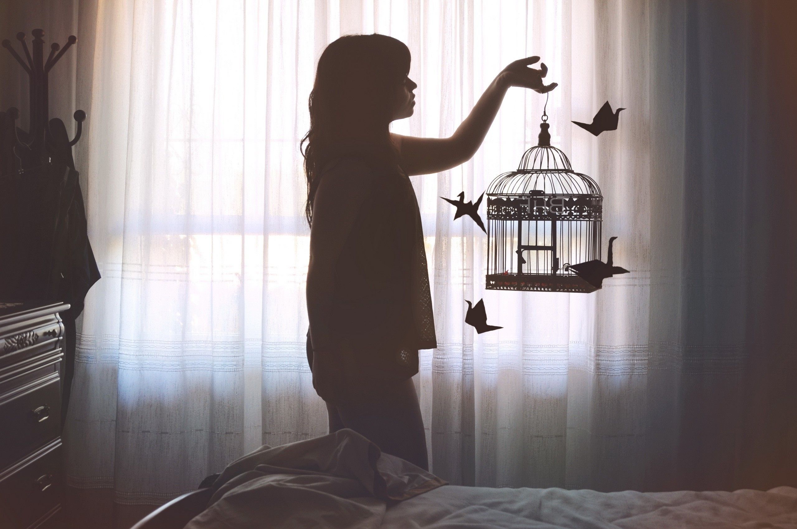 Bird Cage Wallpapers Wallpaper Cave