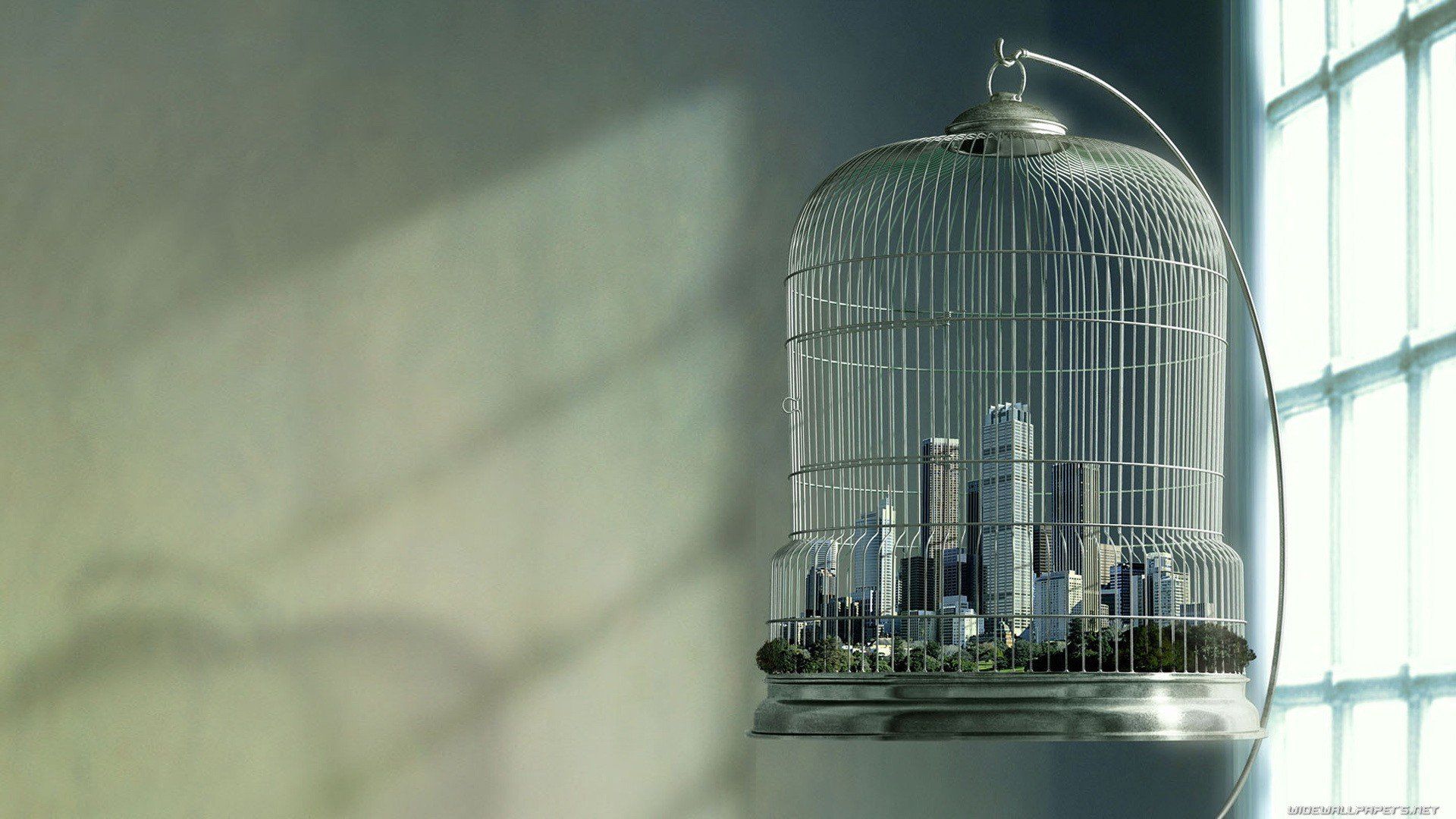 Bird Cage Wallpapers Wallpaper Cave