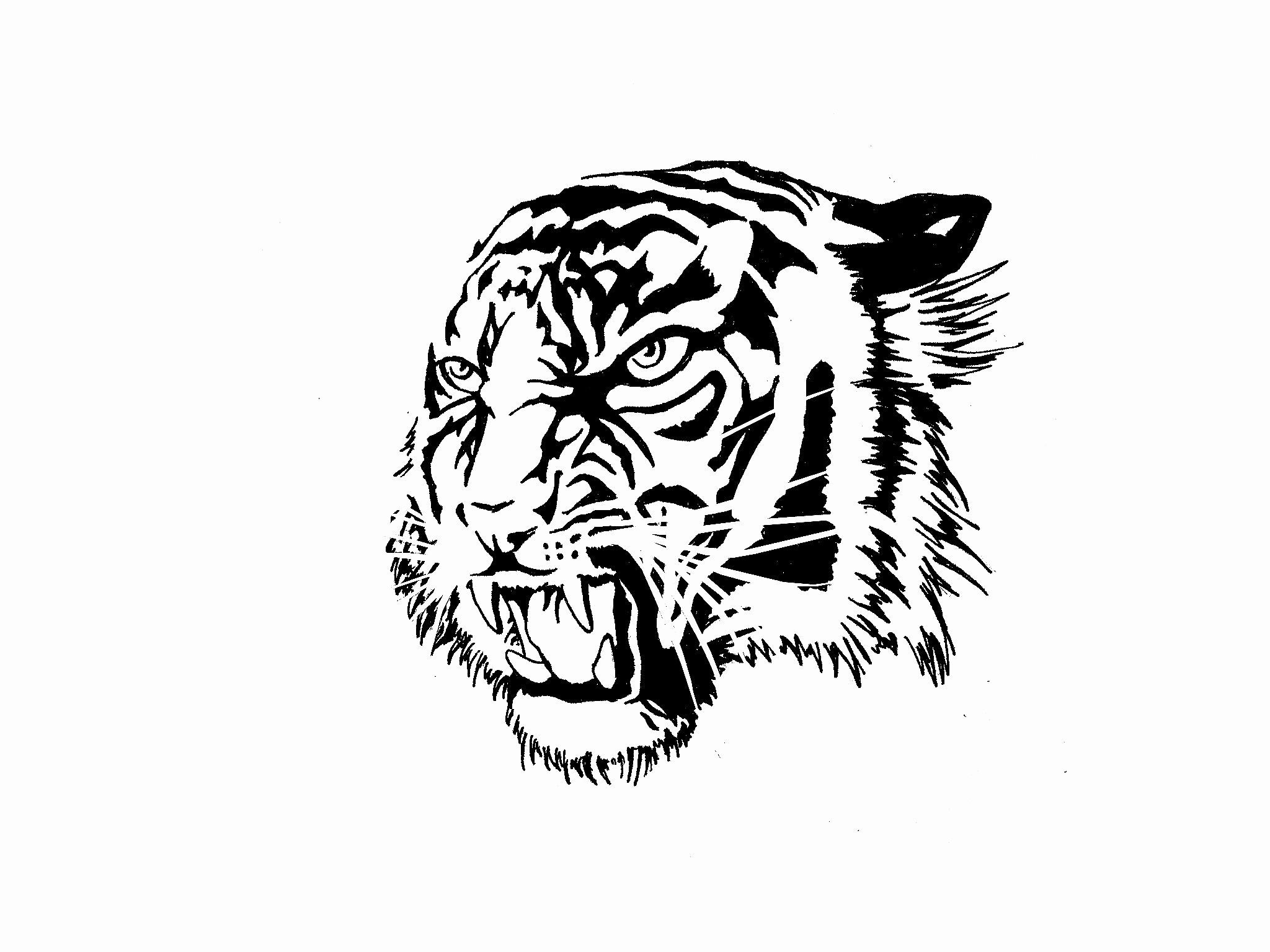 Tiger Tattoo Wallpapers Wallpaper Cave