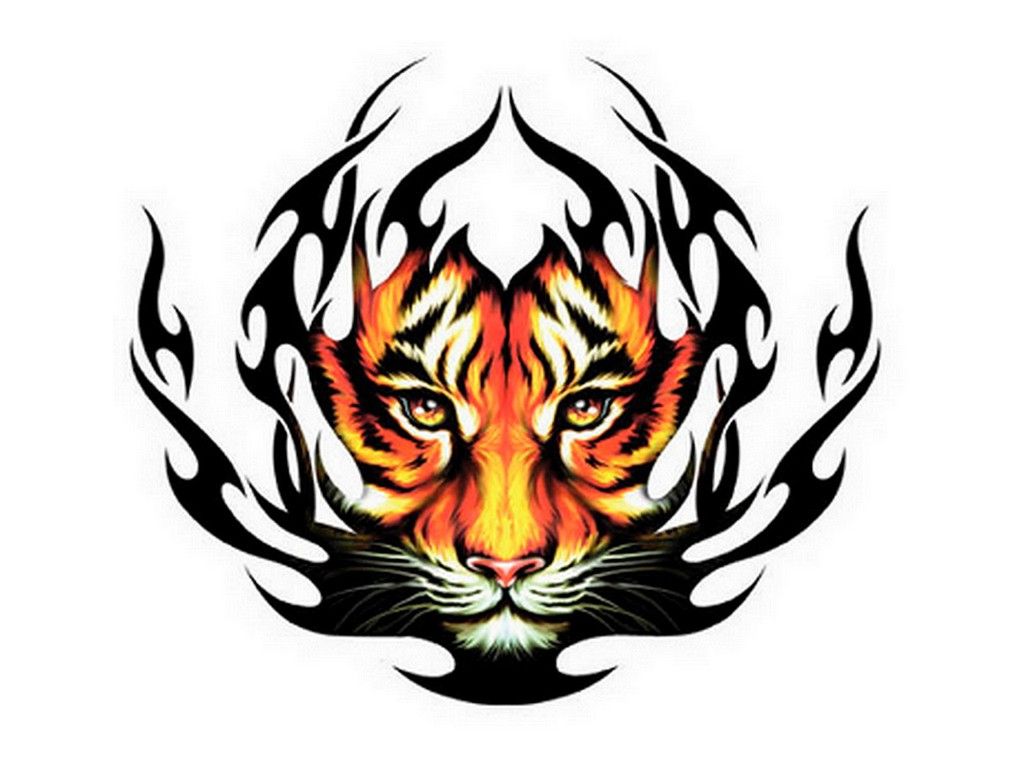 Tiger Tattoo Wallpapers Wallpaper Cave