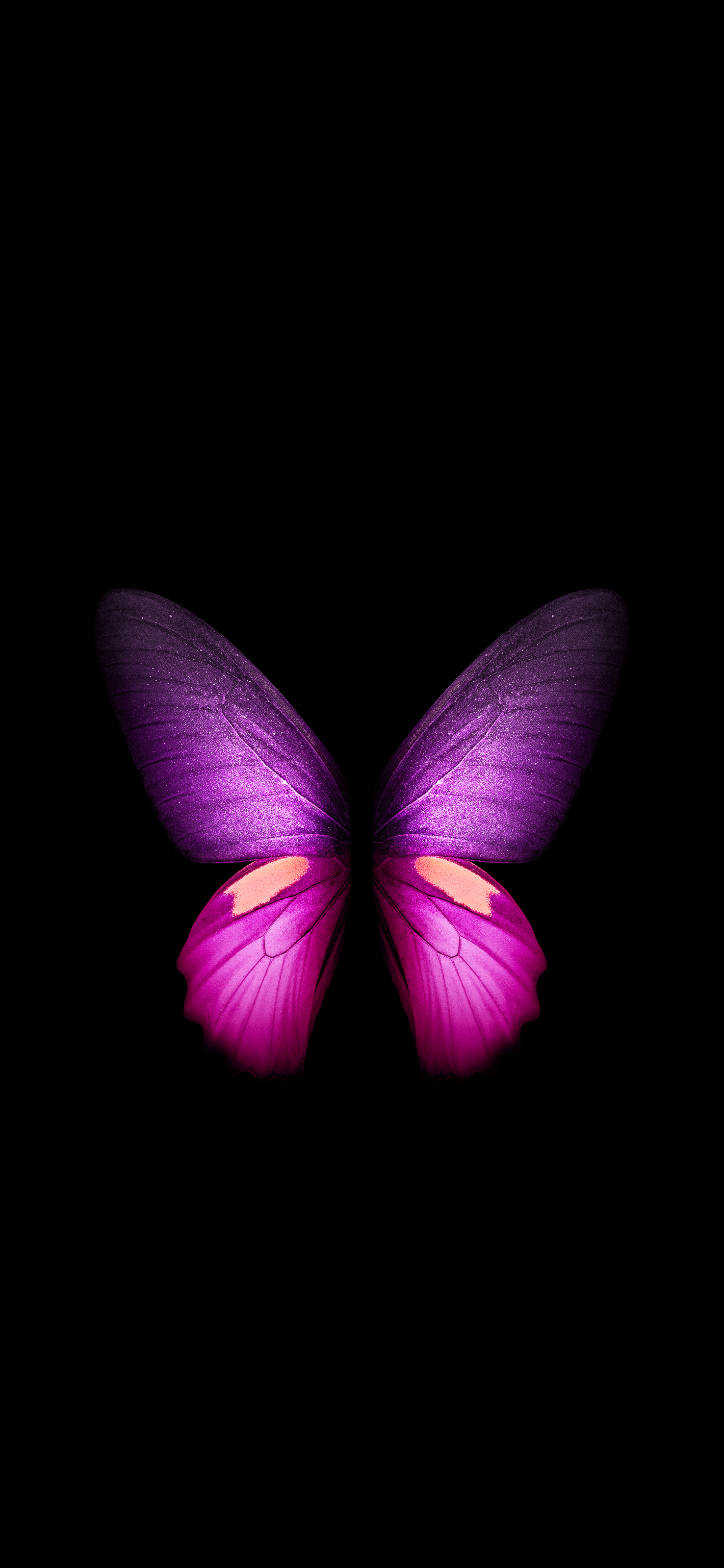 Live Butterfly Wallpapers Wallpaper Cave