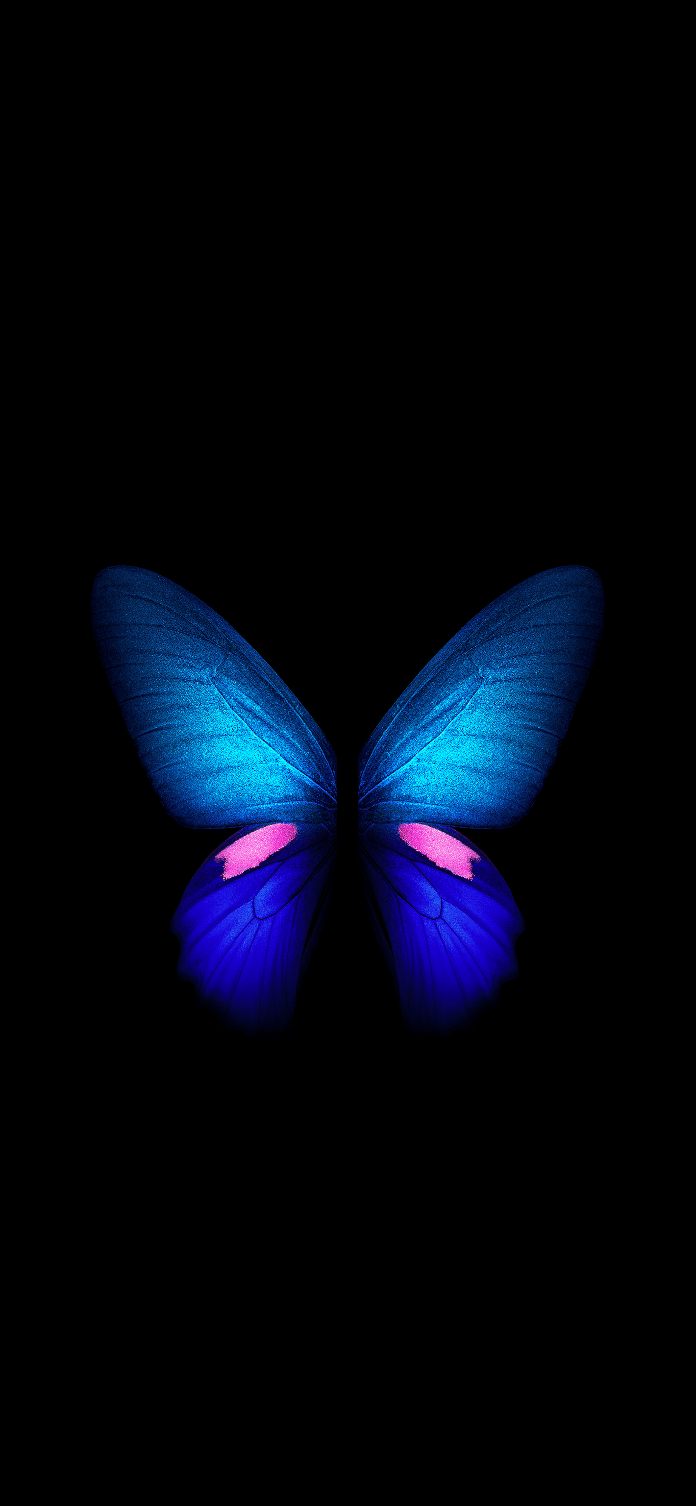 Live Butterfly Wallpapers Wallpaper Cave