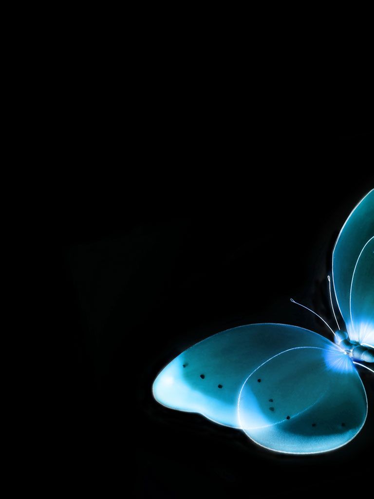 Live Butterfly Wallpapers Wallpaper Cave