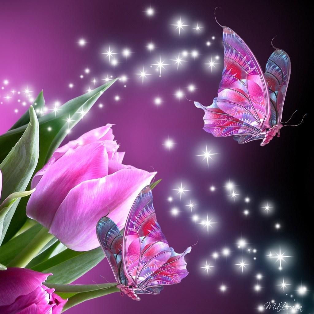 Animation Butterfly Wallpapers Wallpaper Cave