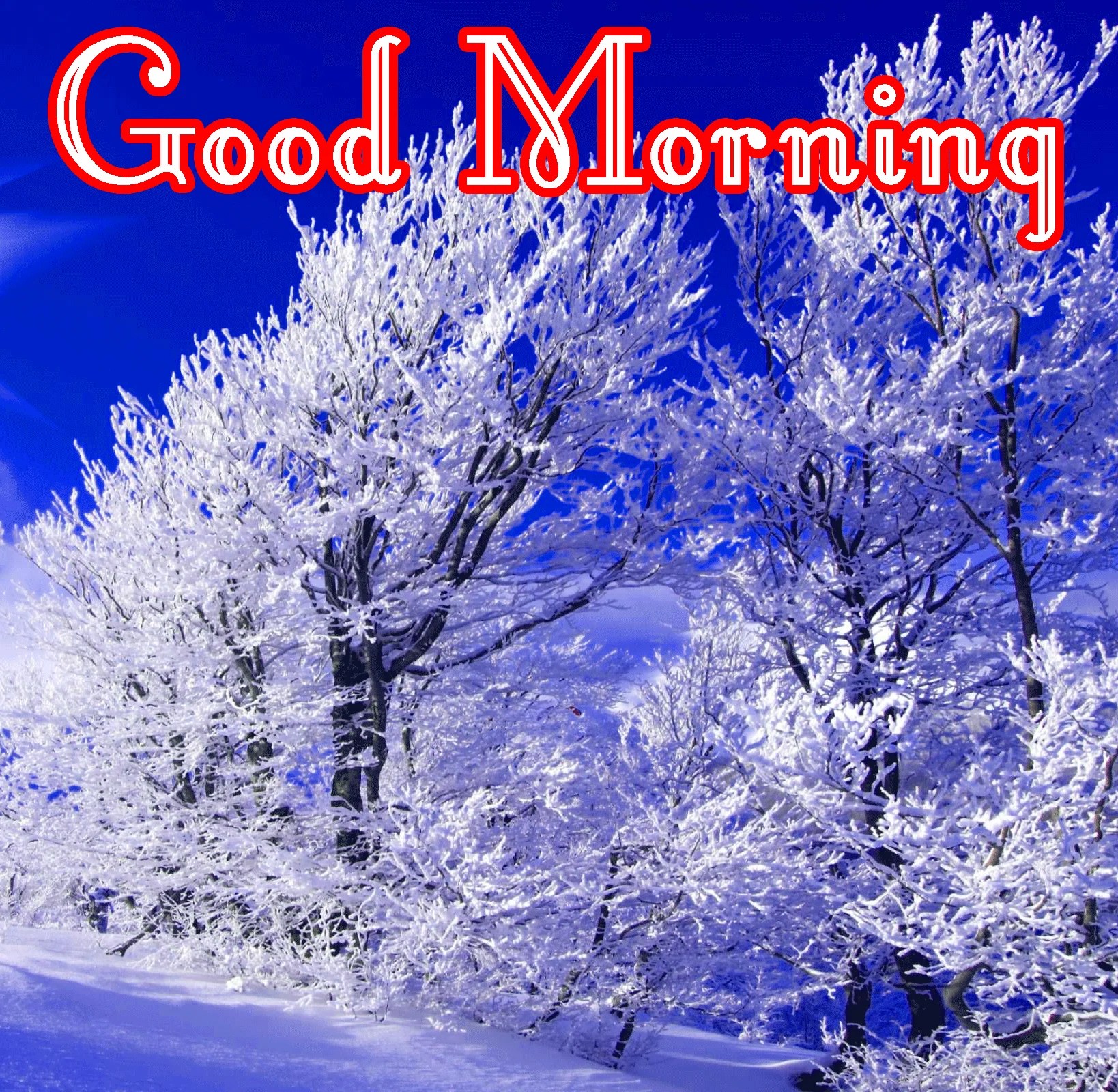 Good Morning Winter Wallpapers Wallpaper Cave