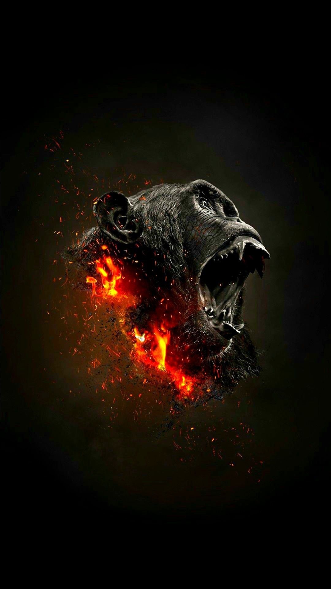 Angry Gorilla Wallpapers Wallpaper Cave