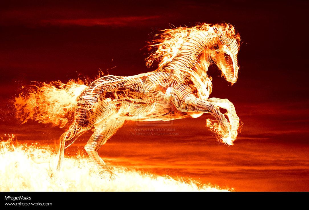 Flaming Horses Wallpapers Wallpaper Cave