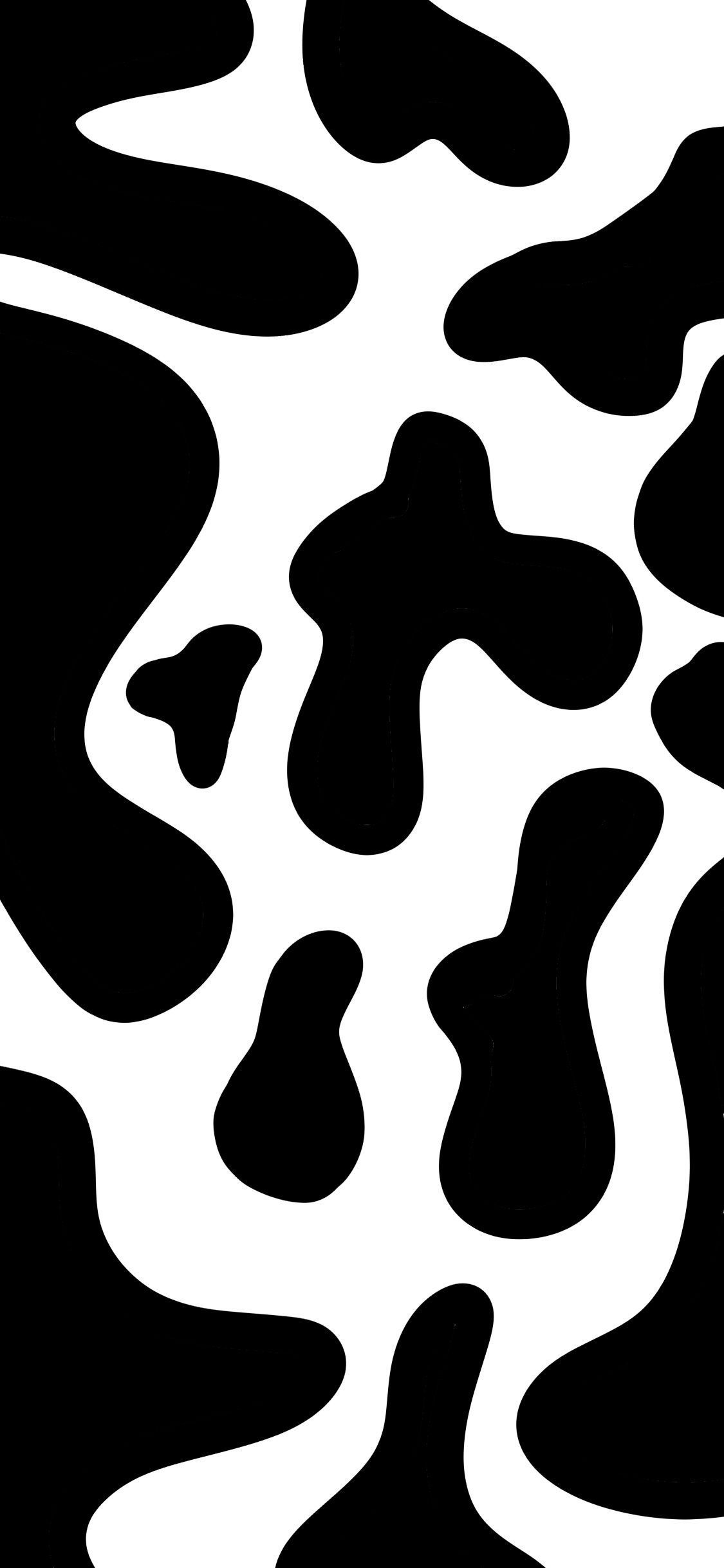 Black And White Cow Wallpapers Wallpaper Cave