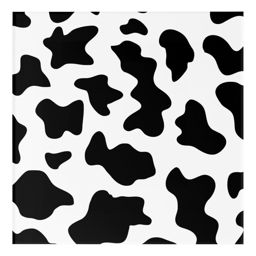 Black And White Cow Wallpapers Wallpaper Cave