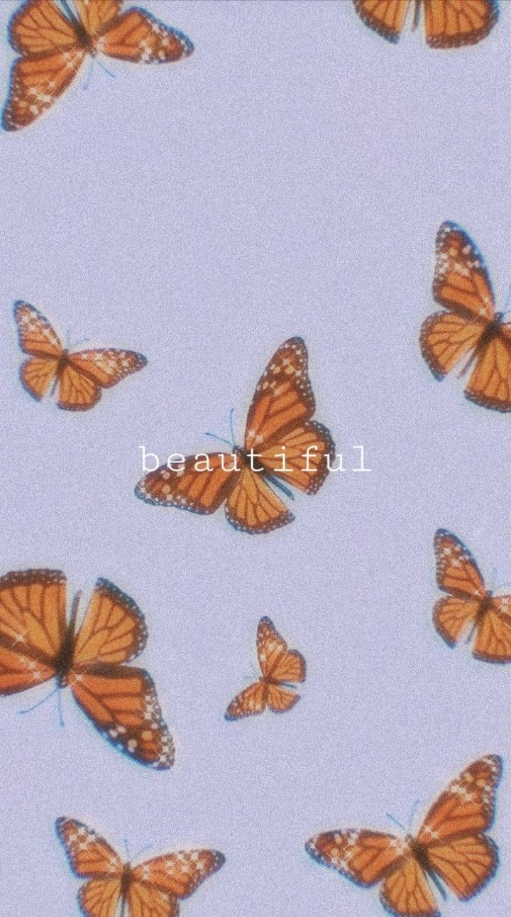 Tumblr Butterfly Wallpapers Wallpaper Cave