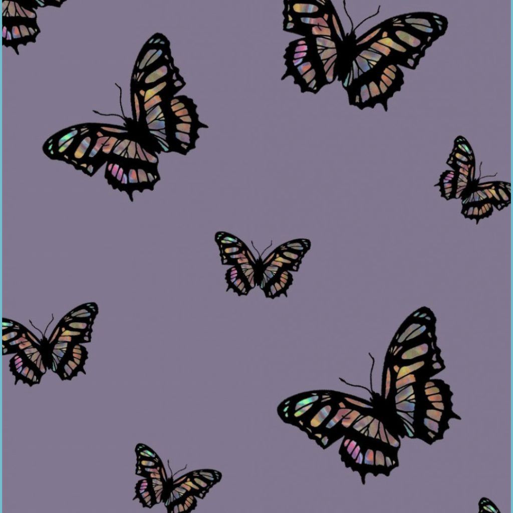 Tumblr Butterfly Wallpapers Wallpaper Cave