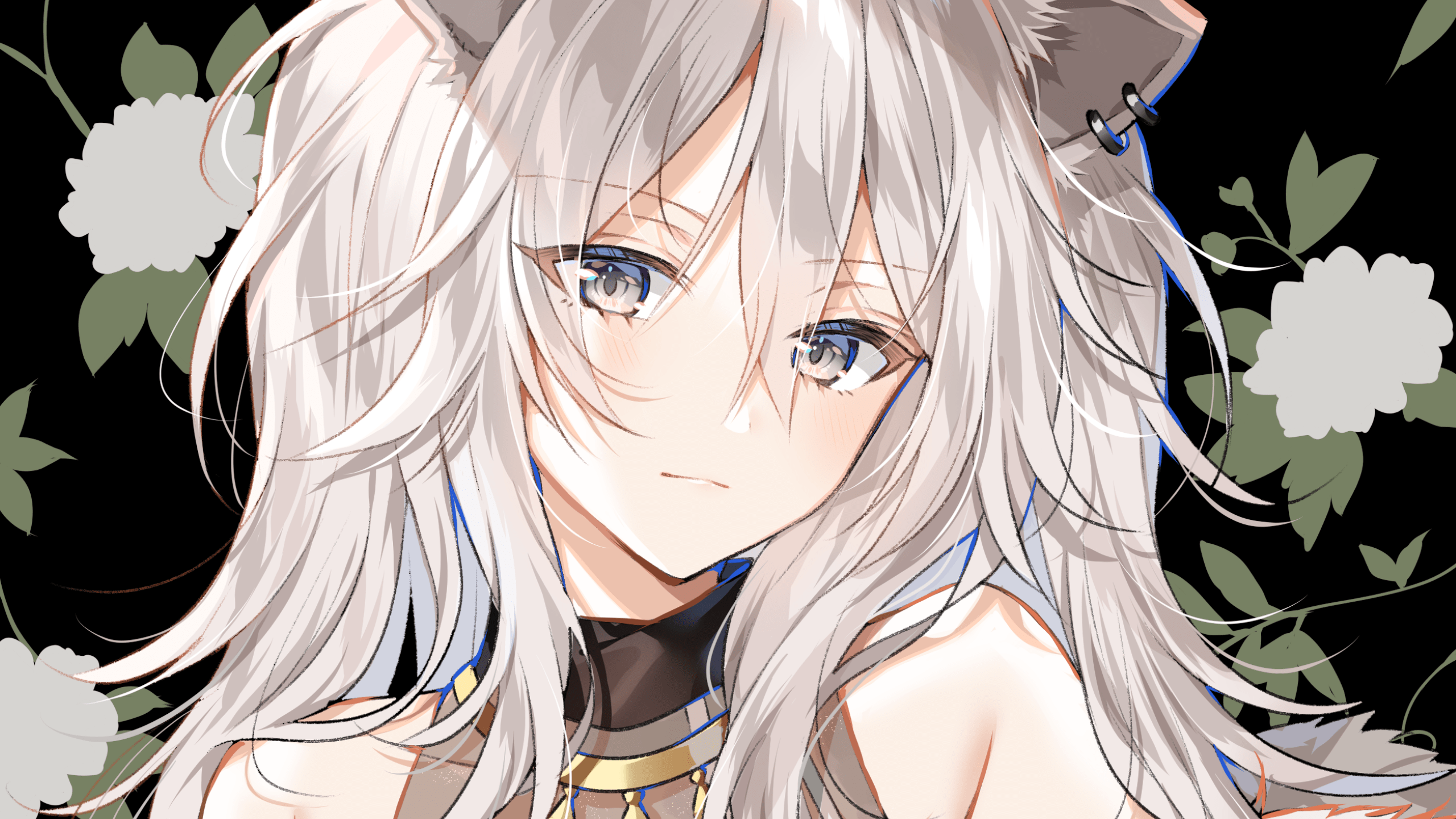 Shishiro Botan Wallpapers Wallpaper Cave