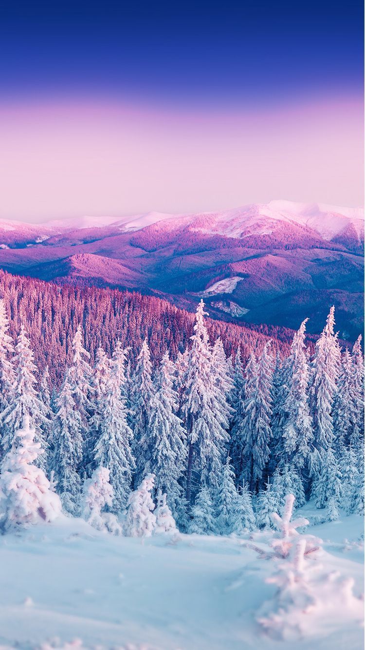 Purple Winter Wallpapers Wallpaper Cave
