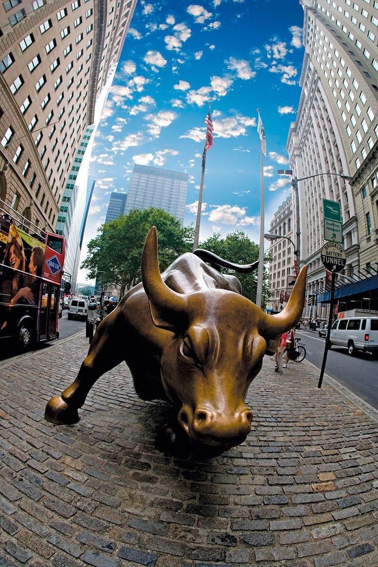Charging Bull Wallpapers Wallpaper Cave