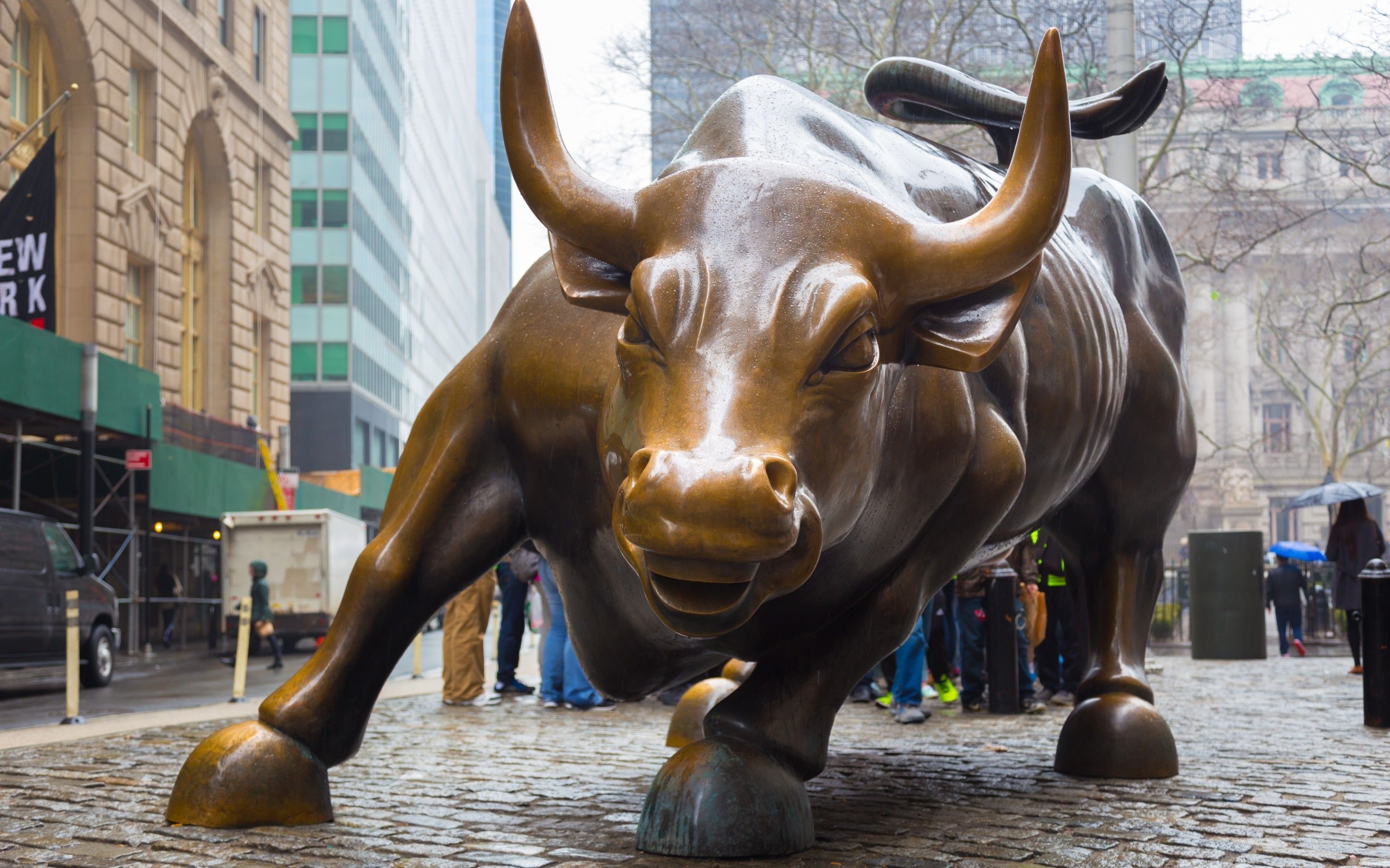 Charging Bull Wallpapers Wallpaper Cave