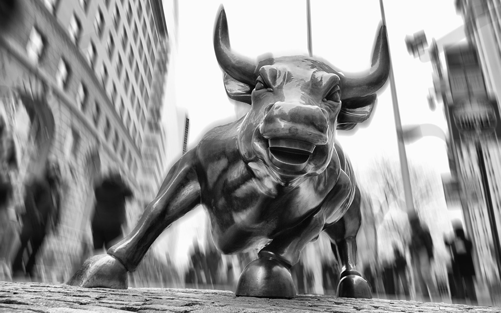 Stock Market Bull Wallpapers Wallpaper Cave