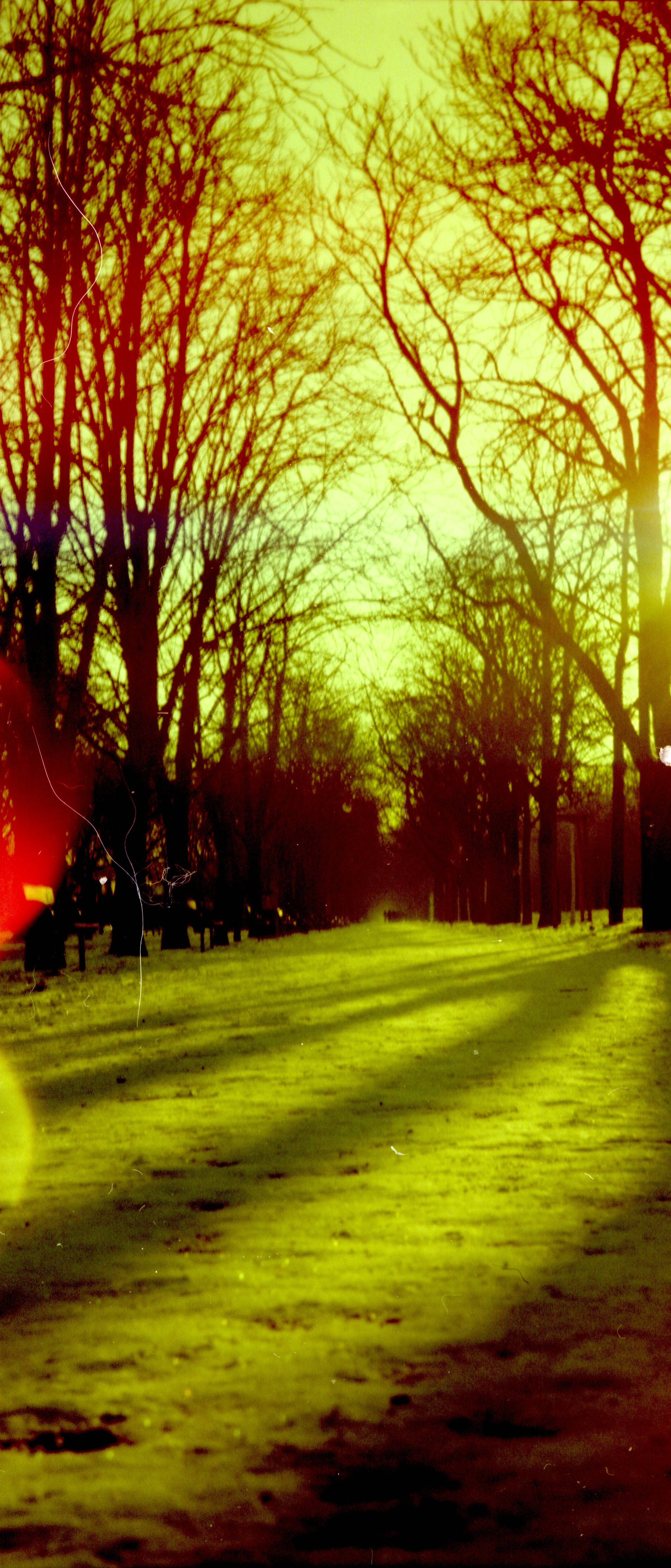 Vertical Winter HD Wallpapers Wallpaper Cave