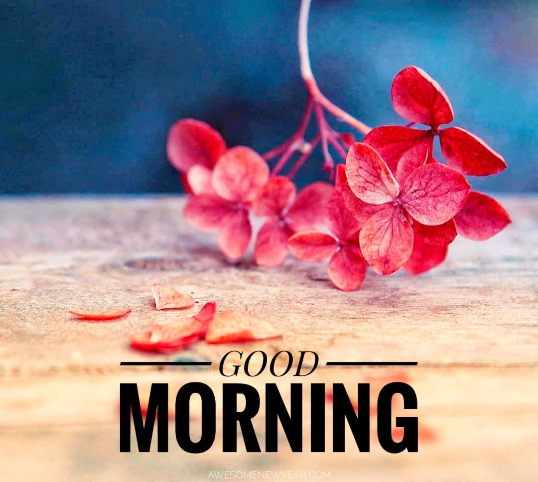 Good Morning Images Wallpapers Wallpaper Cave
