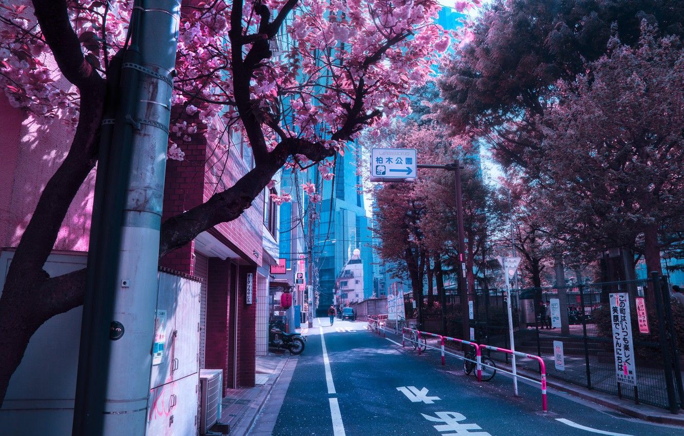 Japanese Street Wallpapers Wallpaper Cave