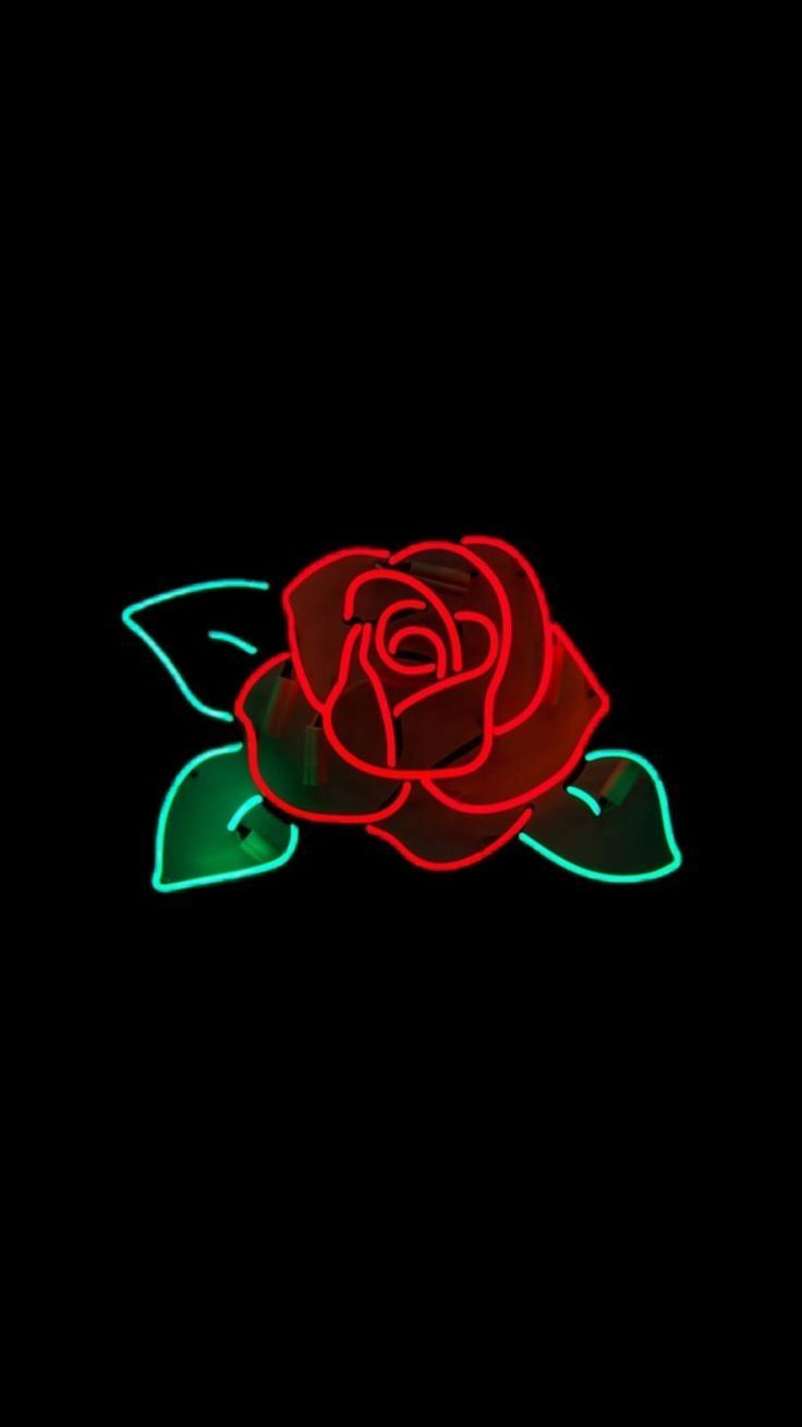 Neon Rose Wallpapers Wallpaper Cave