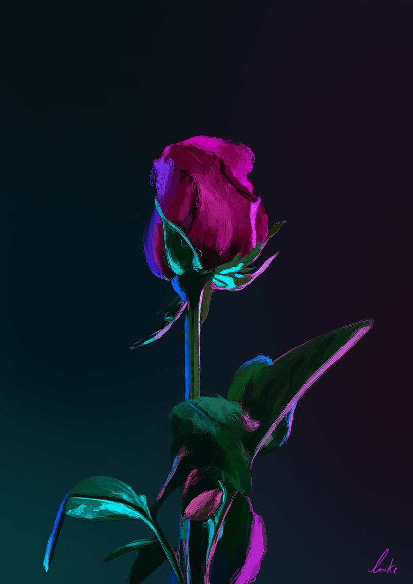 Neon Rose Wallpapers Wallpaper Cave