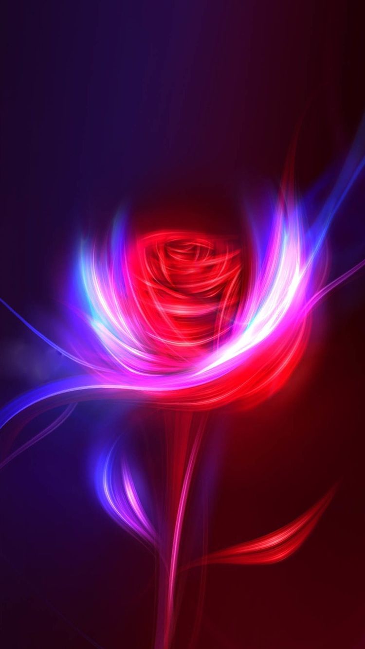 Neon Rose Wallpapers Wallpaper Cave