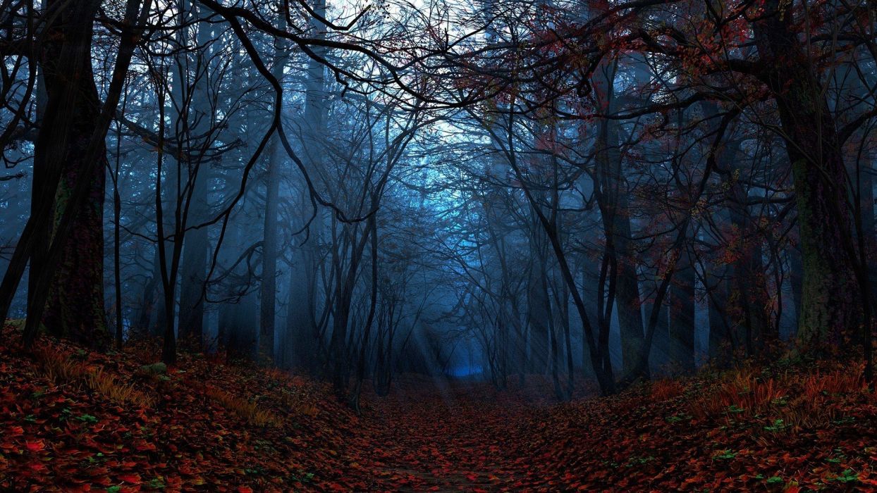 Dark Autumn Tree Wallpapers Wallpaper Cave