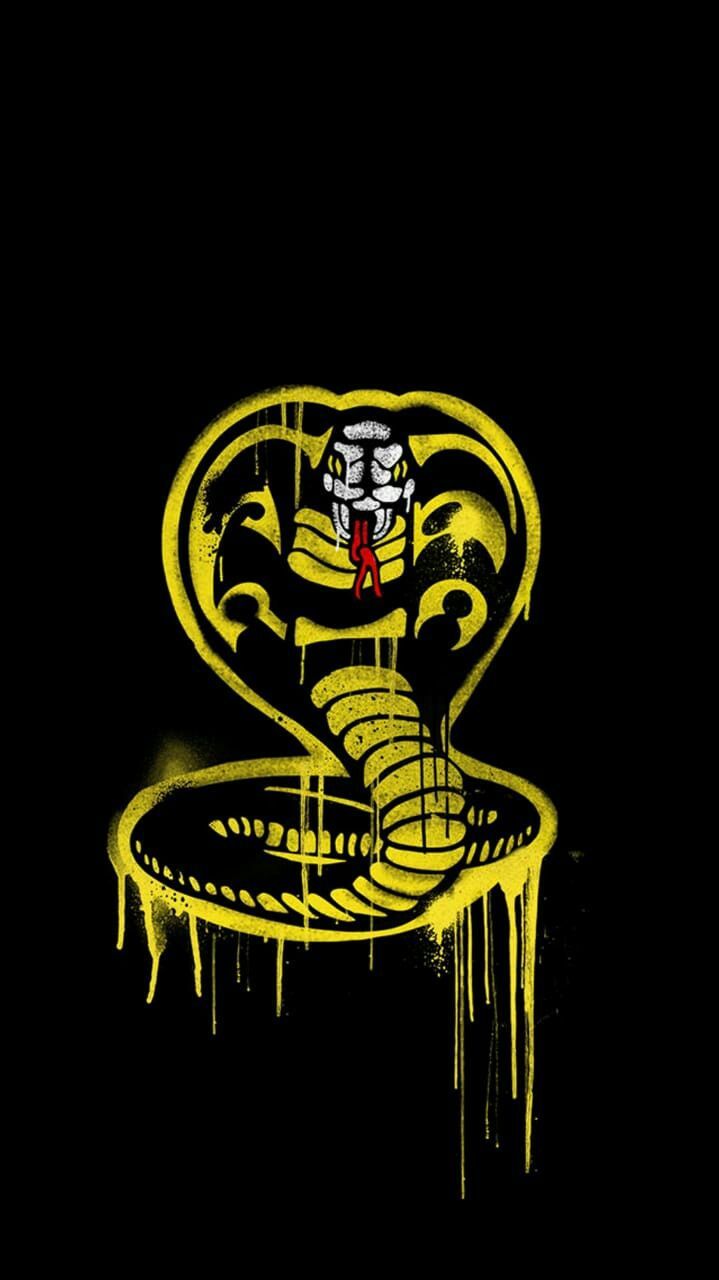Cobra Kai 2021 Wallpapers Wallpaper Cave