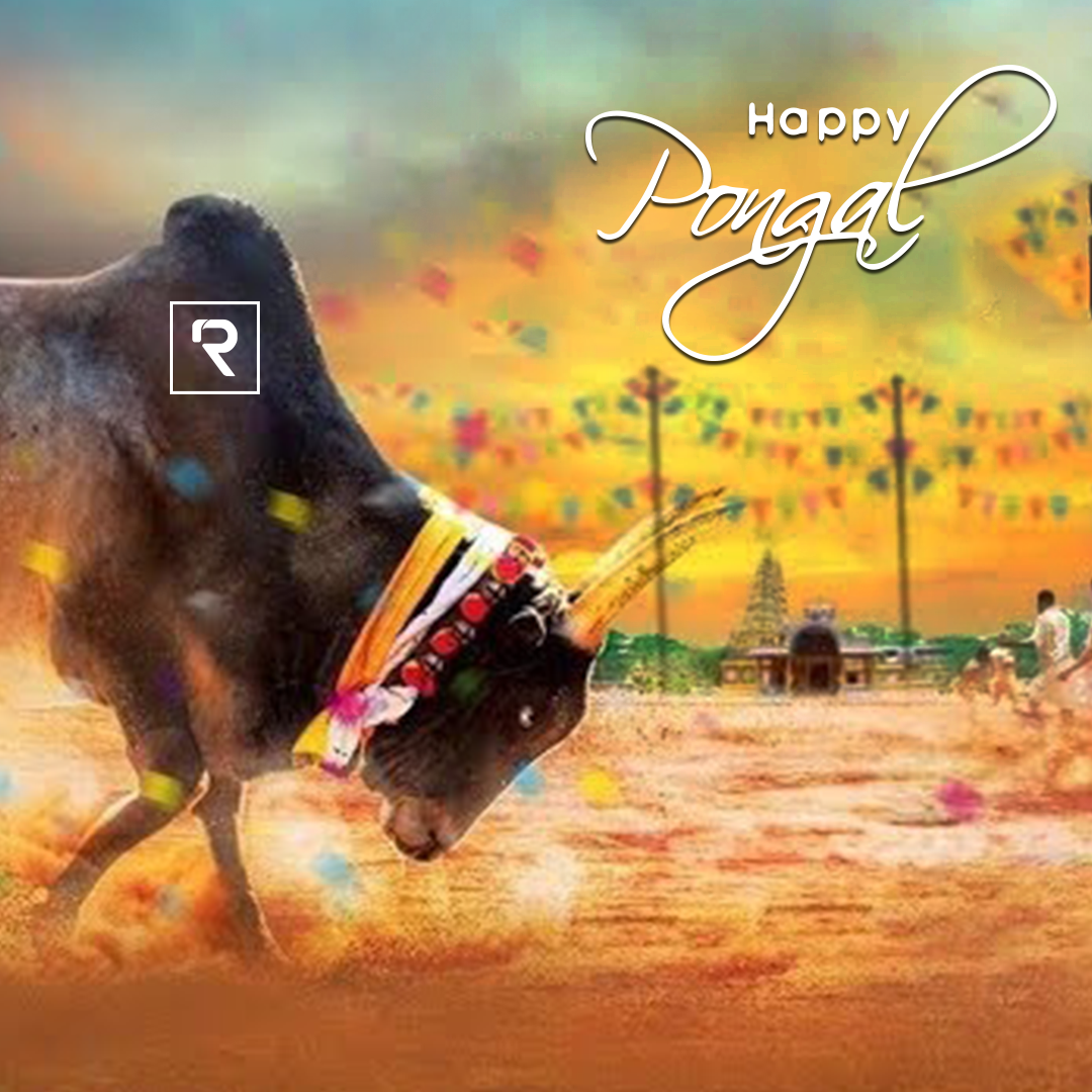 Mattu Pongal Wallpapers Wallpaper Cave