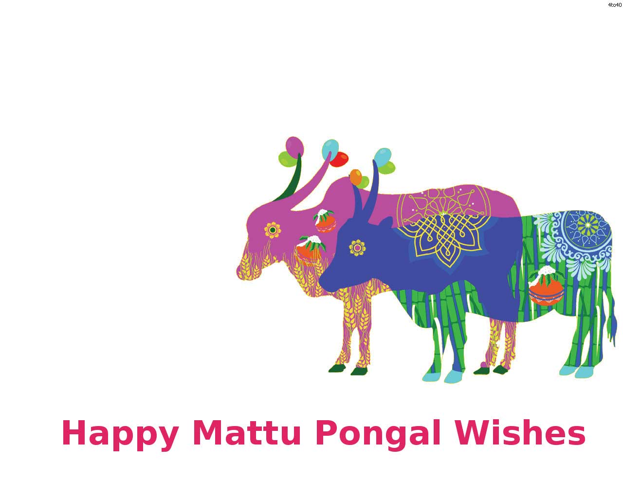 Mattu Pongal Wallpapers Wallpaper Cave