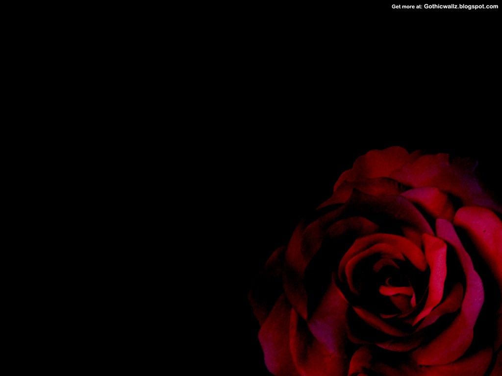 Emo Roses Wallpapers Wallpaper Cave