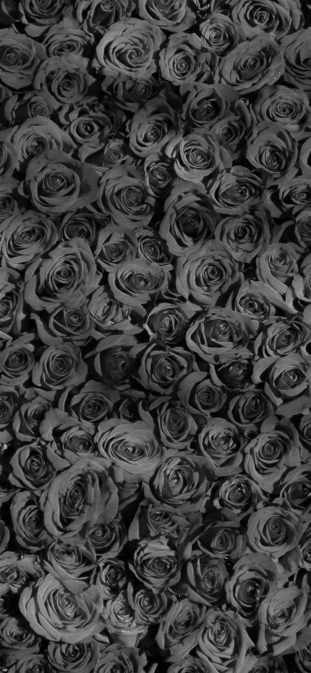 Emo Roses Wallpapers Wallpaper Cave