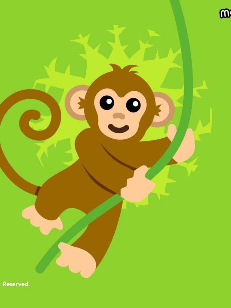 Monkey Cute Wallpapers Wallpaper Cave