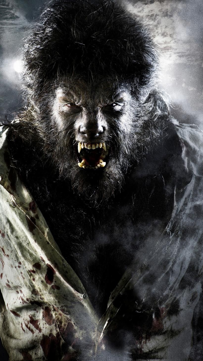 The Wolfman Wallpapers Wallpaper Cave