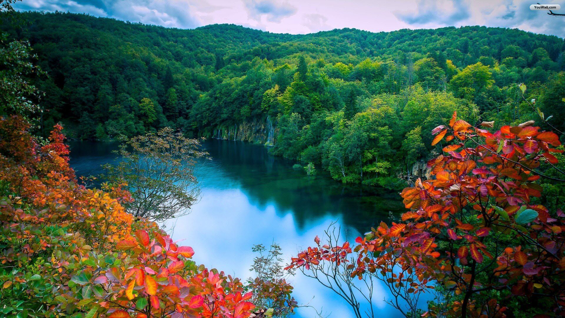 Lake In Forest Wallpapers Wallpaper Cave