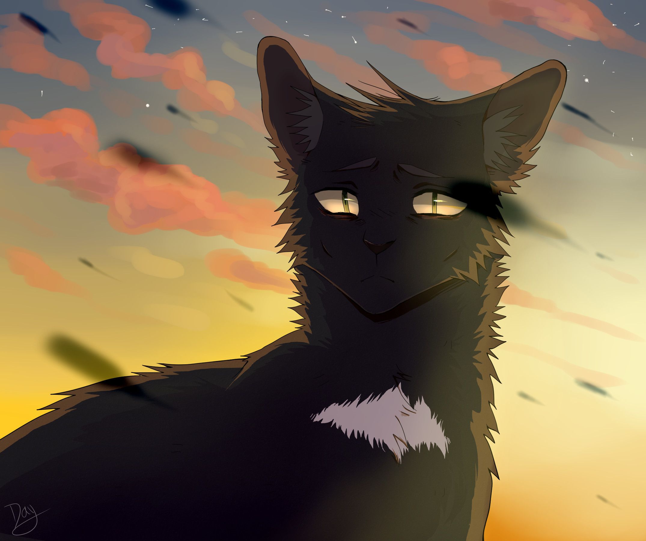 The Rise Of Scourge Warrior Cats Wallpapers Wallpaper Cave