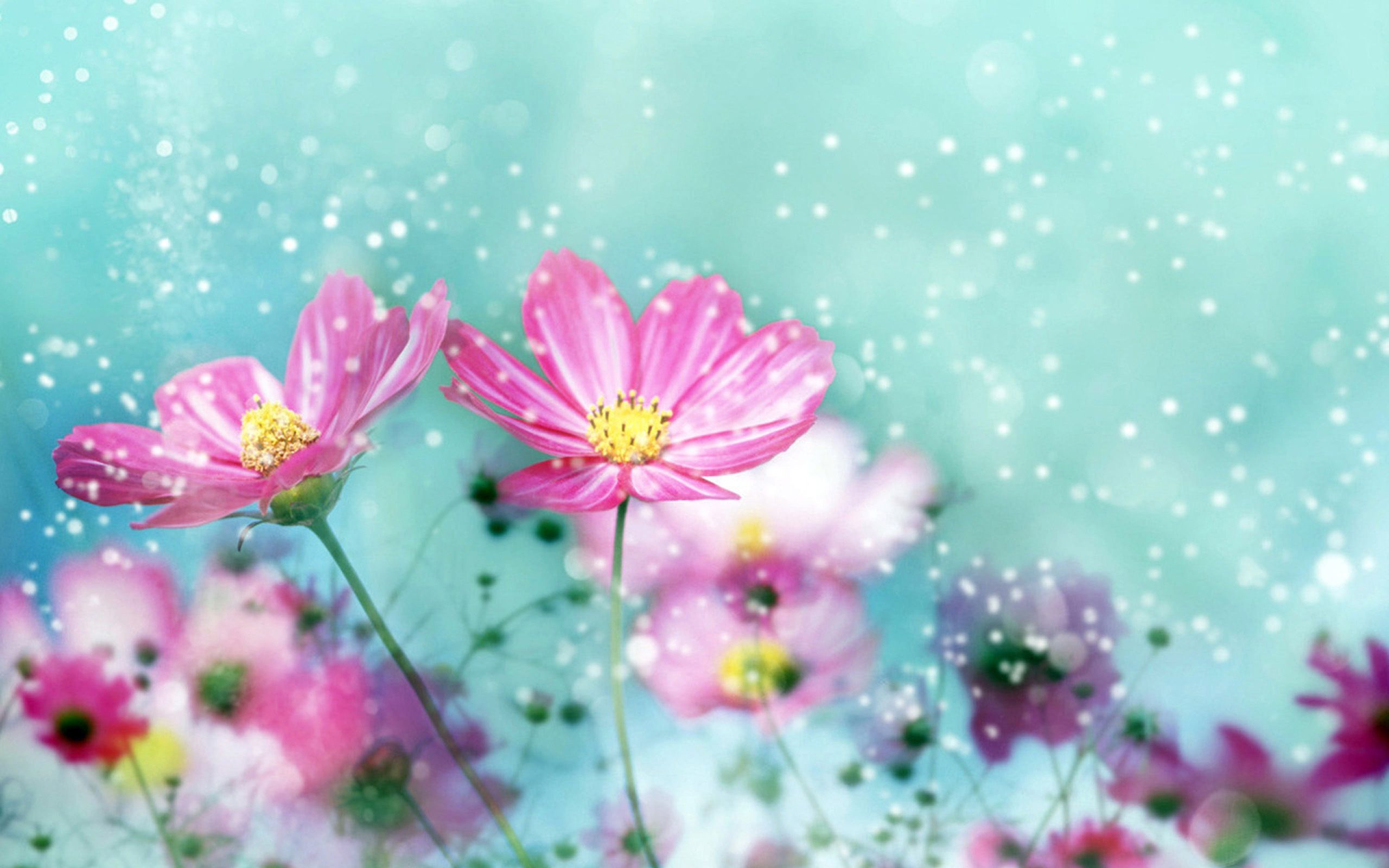 Kawaii Flowers PC Wallpapers Wallpaper Cave
