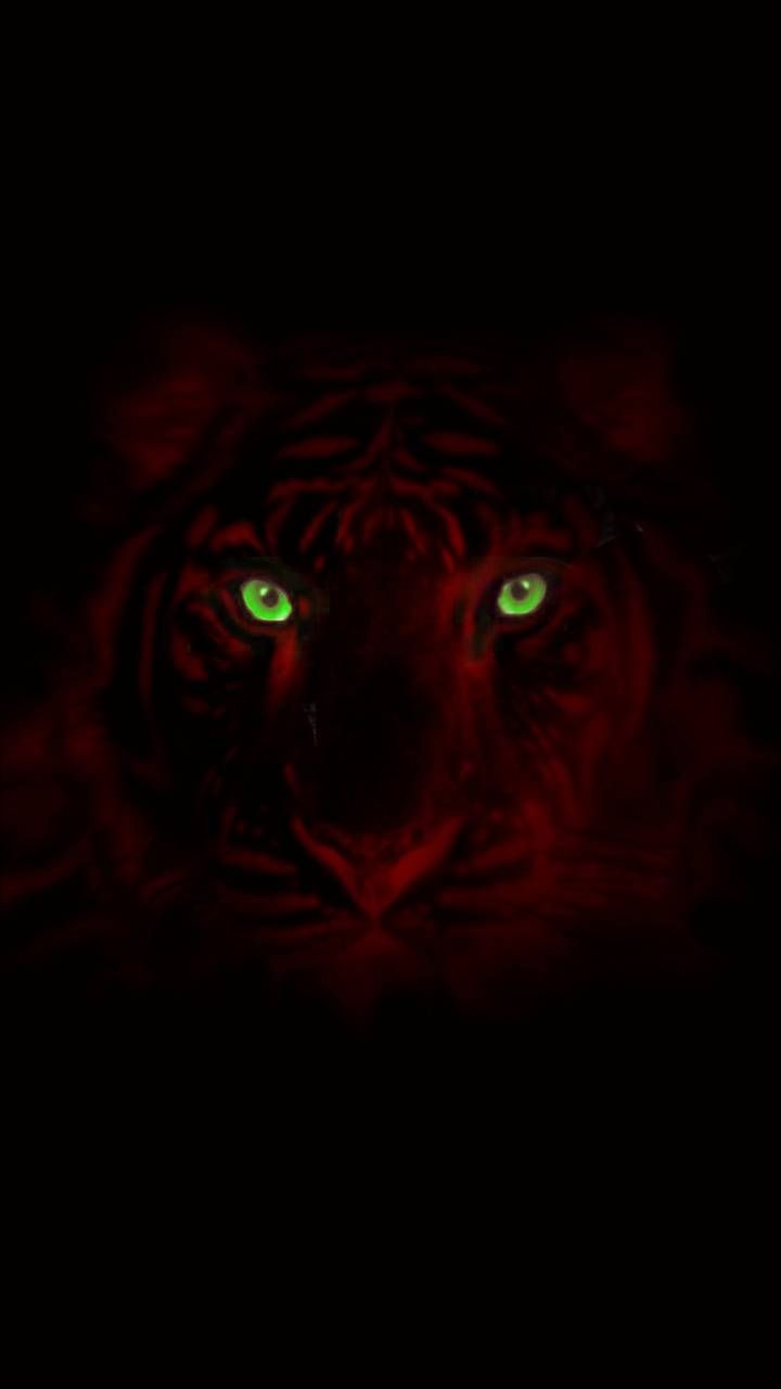 Red Tiger Wallpapers Wallpaper Cave