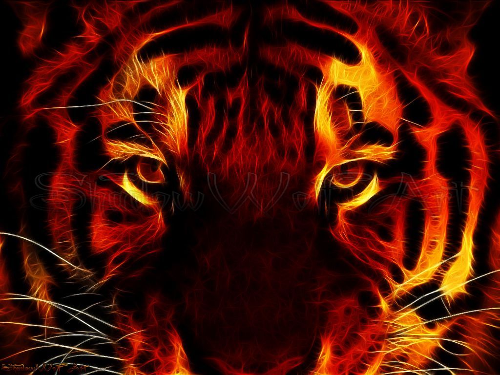 Red Tiger Wallpapers Wallpaper Cave